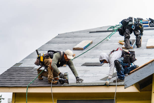 Professional Flat Roof Repair technician working in Trevett, ME